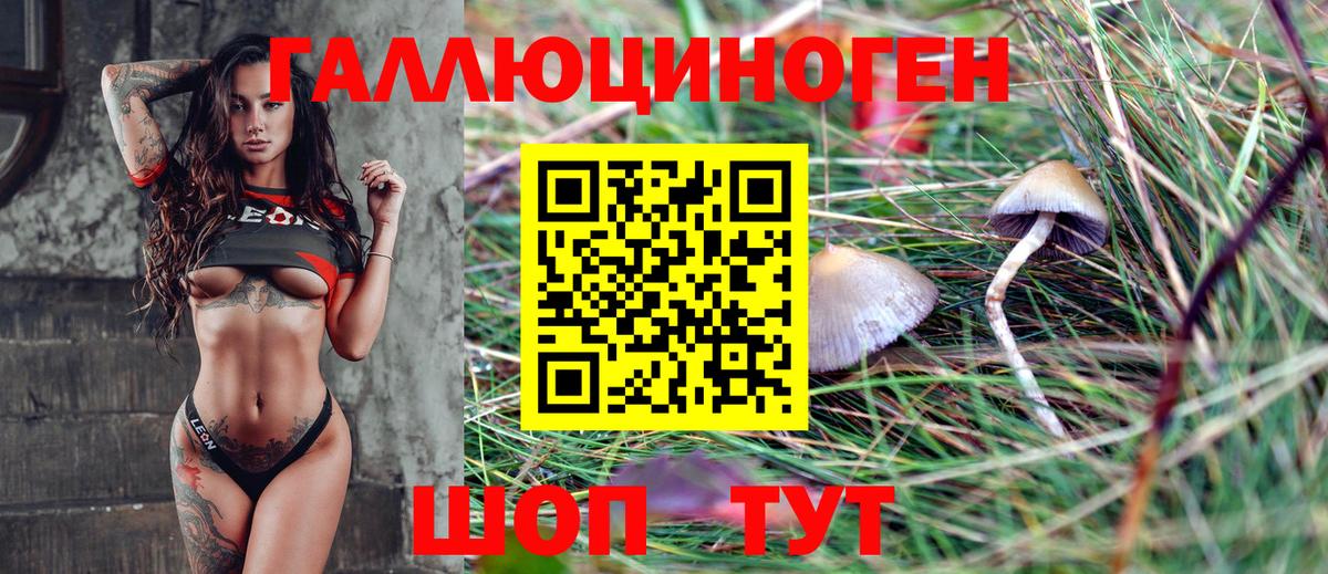 Галлюциногенные грибы MAGIC MUSHROOMS  Псилоцибиновые грибы GOLDEN TEACHER  Обнинск 