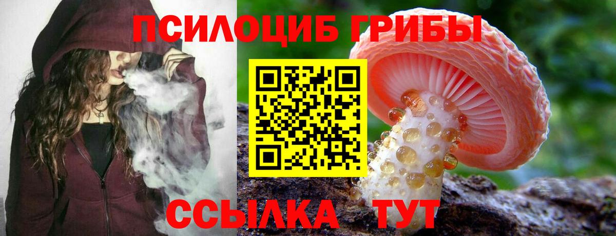 Галлюциногенные грибы MAGIC MUSHROOMS  Псилоцибиновые грибы Psilocybe  Вход с VPN  Обнинск 