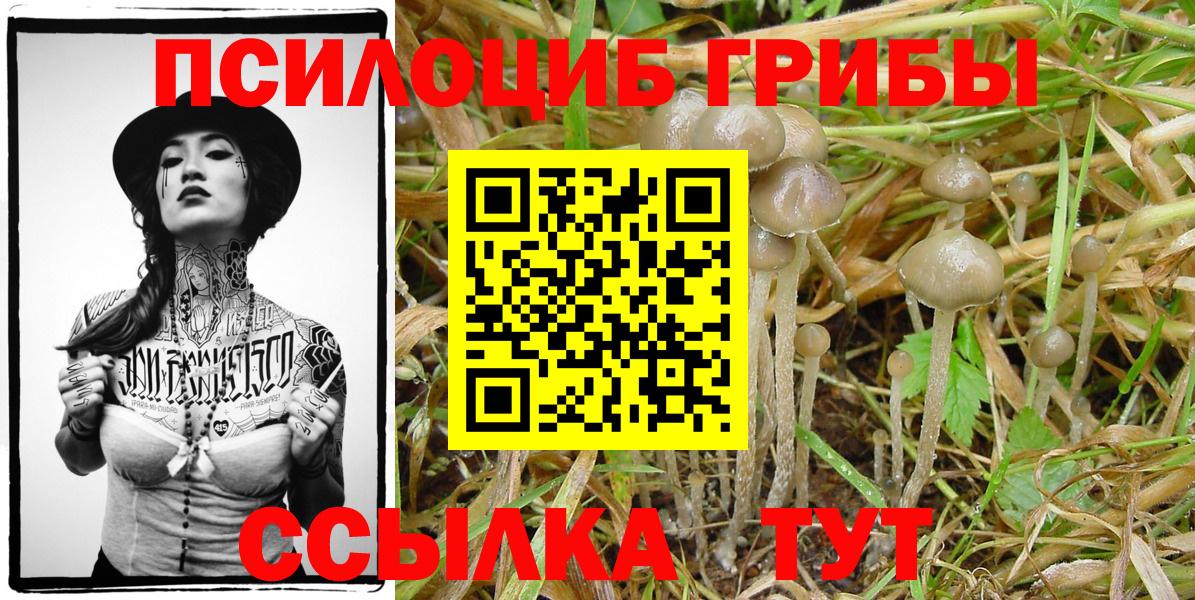 Псилоцибиновые грибы ЛСД Обнинск
